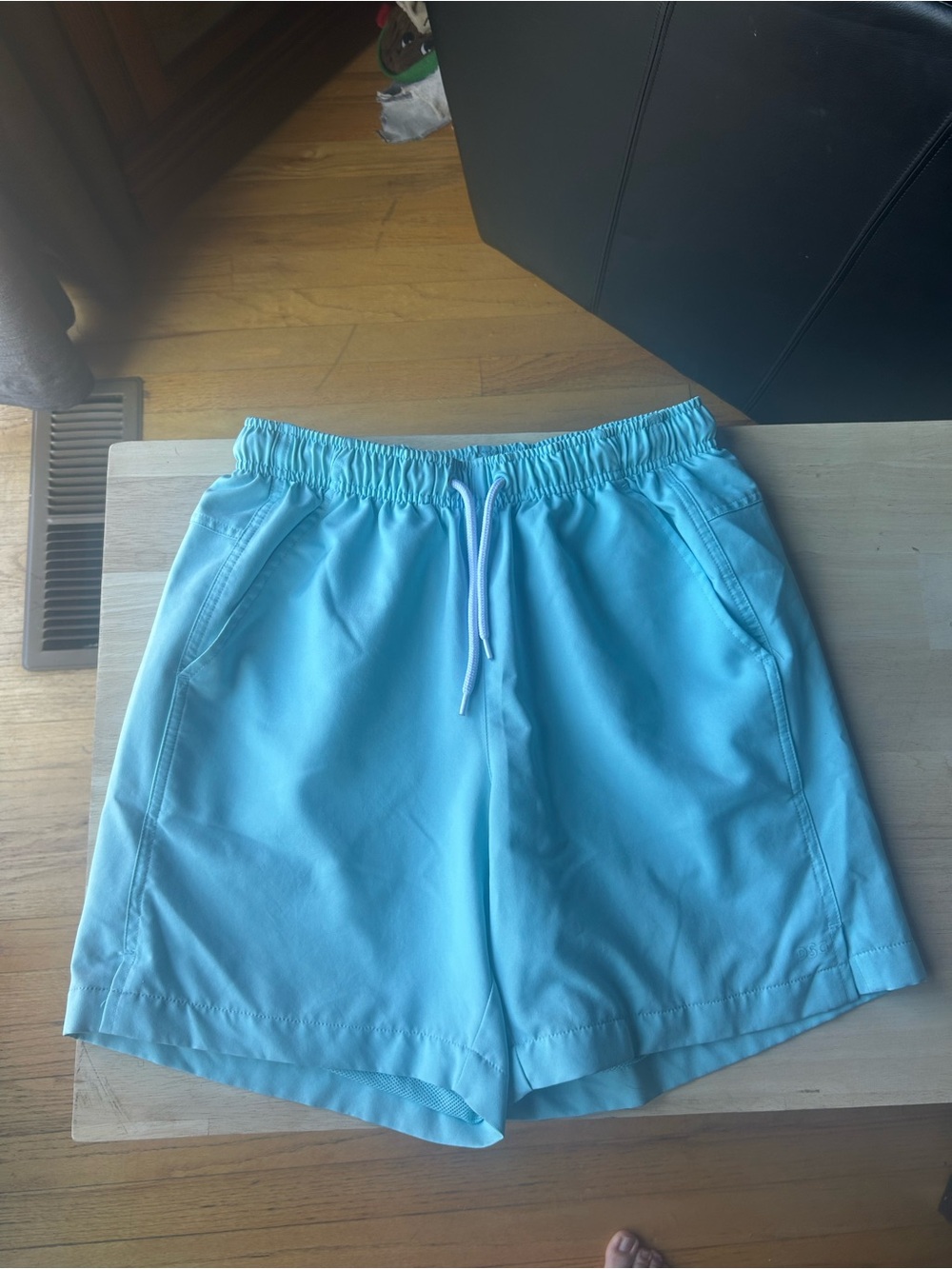 DSG Men's Light Blue Drawstring Shorts